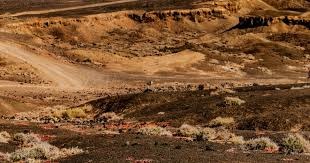 米体：热格罗瓦身体状态完全恢复，踢那不勒斯能增加出场时间